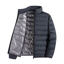 Männer Einfarbig Stehkragen Lange Sleeve Zipper Casual Trendy Gans Unten Mäntel Winter Neue Mode Männlichen Einfache Grundlegende Cothes top