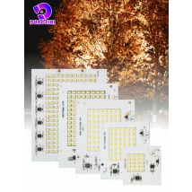 LED SMD 2835 Chip 10W 20W 30W 50W 100W Flood Light Beads AC 220V-240V Led Floodlight Lamp DIY For Outdoor Lighting Spotlight