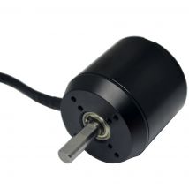 FEICHAO 6374 170KV Bürstenloser Motor mit Hall-Sensor 2800W Elektrischer Off-Road-Motor 10MM Motorwelle 36V Hochgeschwindigkeits-Elektromotor