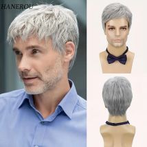 Synthetische kurze graue gerade geschichtete Perücke mit seitlichem Pony für Männer, tägliches Cosplay, Party, Kunsthaar, hitzebeständig