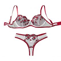 Kontrast Sexy Dessous Fancy Spitze Erotik Set Frau 2-teilig Transparente Frauen Unterwäsche Stickerei Schöne BH- und Höschen-Sets