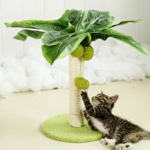 Katze Kratz baum mit baumeln den Bällen für Kätzchen niedlichen Palme Katze Kratz bäume Indoor Sisal Seil Katzen Beiträge Haustier Produkte