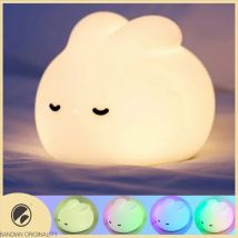 Luce notturna a LED Simpatico anatroccolo Animali dei cartoni animati Lampada in silicone per bambini Sensore tattile Temporizzazione USB Ricaricabile per regali di compleanno