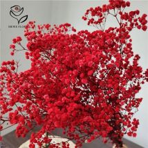 Dried Babys Breath Flower Bouquet 120g Gypsophila Wedding Decor Natural Real Touch Preserved Flowers Gift DIY Christmas Wreath
