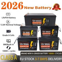 12V 24V 100AH 150Ah 300Ah 350Ah LiFePO4 Batterie mit integriertem BMS Lithium-Eisenphosphat-Zelle 10000 Zyklen für Wohnmobile, Golfcarts