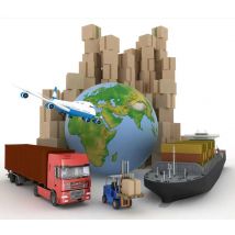 VIP 1 PER CUSTOMI E COSTI DI SPEDIZIONE