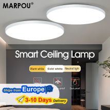 Lampada da soffitto intelligente a LED MARPOU con telecomando APP Lampade da soffitto rotonde moderne dimmerabili Apparecchio interno per bagno camera da letto