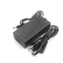 Caricabatteria agli ioni di litio intelligente 21V 1.5A 2A 3A 4A 5A 10A per batteria ai polimeri di litio 5S 18V DC 5.5*2.5MM 2.1MM