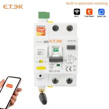 ETEK TUYA WiFi Smart RCBO con funzione di richiusura automatica 230V 30mA Telecomando Tipo A 1P + N Reset Interruttore automatico EKR3L