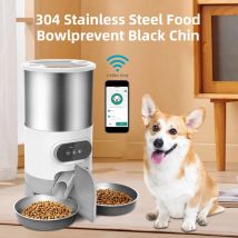 Smart APP alimentatore per animali domestici cibo per cani e gatti Dispenser automatico ciotola in acciaio inossidabile gatti e cani con registrazione alimentazione temporizzata