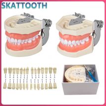 28/32 stücke Zähne Modell Dental Lehre Modell Weiche Zahnfleisch Zähne Harz Typodont Zähne Modell für Zahnarzt Praxis Studieren zahnarzt Werkzeuge