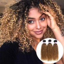 Brasilia nische verworrene lockige Echthaar bündel t1b/27 ombre gefärbte Echthaar-Web bündel remy Haar verlängerung Bündel Angebote