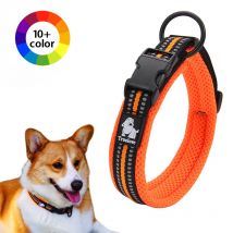Winhyepet collare da passeggio per cani Comfort imbottito con fibbia collare da viaggio in Nylon Tactical Dog supplies 11 colori taglia XXS-XXXL
