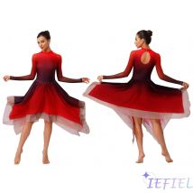 Abito da donna elegante da ginnastica moderna per spettacoli di danza, in rete, a maniche lunghe, con orlo irregolare, body da balletto, abbigliamento da ballo lirico