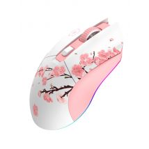 DAREU EM901X Wireless Mouse, 2.4G Wired Dual-mode Mouse, AIM-WL 12000 DPI RGB Magnetic Charging Dock Gaming Mouse for PC Gamer