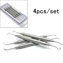 4 teile/satz doppelseitige Design Zahn Scaler Kit Dental Prüfung Zähne Reinigung Werkzeug Edelstahl Zahnmedizin Instrument