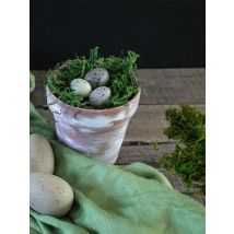 Artificial Moss Green for Potted Plant Orchid Potting Mix Peat Moss Pole Craft