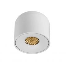 Aisilan oberflächen montierte Down light LED Cob Chip Super Blends chutz Decken leuchte für Wohnzimmer Korridor Foyer