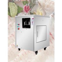 Fish Slicing Machine Commercial Black Fish Bashan Grass Carp, Perch, Various Meats Full Automatic Cut Fish Machine