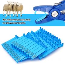 Vieh Ziege Ohrmarke mit Worten Hund Kaninchen Schaf Ohrmarken Zange Nylon Material Schafe Laser Ohrmarke Karte Tieridentifikation