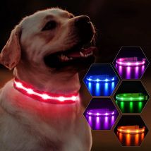 Collare per cani in maschera collare per cani a LED ricaricabile 100% luci lampeggianti impermeabili con forniture di sicurezza notturna per passeggiate all'aperto USB