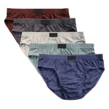 4 Pcs/Lot 100% Cotton Mens Briefs Plus Size Men Underwear Panties XL-5XL Men's Breathable Sexy Lingerie Underpants
