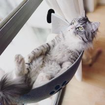 Heißer Verkauf Haustier Hängematte Betten Lager 20kg Katze Fenster Liege Saug Hängematte Haustier Katze Fenster regal Bequeme Katze frettchen Haustier Bett