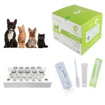 10-teiliges Canine Feline GIARDIA Ag Rapid Test Kit GIA Home Tests für Hunde und Katzen