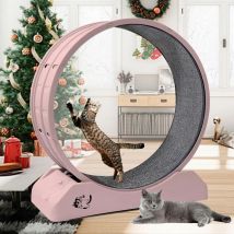 Ruota per esercizi per gatti per gatti da interni - Ruota in stile tapis roulant con pista in moquette |   Fitness e gestione del peso
