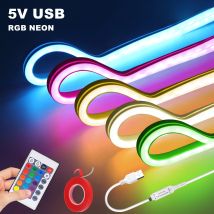 Luce di striscia al neon RGB 5V 1M 2M 3M 5M USB Nastro adesivo flessibile impermeabile Luci al neon con telecomando per la decorazione domestica