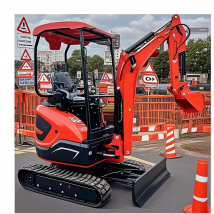 Prodotto personalizzato Escavatore Kubota Piccolo escavatore compatto cingolato da 2,2 tonnellate Motore EPA Piccolo escavatore domestico Rippa