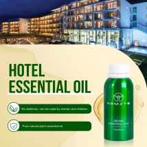 500ML Deodorante Olio Essenziale Diffusore Ricarica Purificatore D'aria per Hotel Elettrico Aromatico Oasi Umidificatore Auto Generatore di Fumo