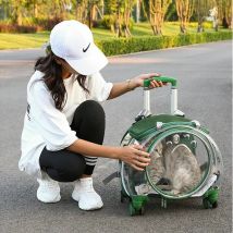 Kleiner Haustier-Trolley, durchsichtige Schultertasche für Katzen, atmungsaktive Kiste für Reisen, draußen, tragbare Heimtierprodukte, Zubehör, Träger