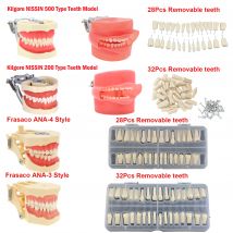 Dental Typodont Zähne Modell mit abnehmbaren Zähnen passen Kilgore Nissin 200/500 und Frasaco ana-3/4 für Zahnmedizin Lehre Demo