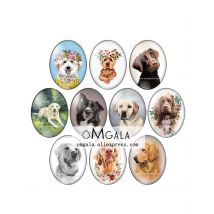 Lovely Pet Dogs Art Paintings Cute Flower Animals 13x18mm/18x25mm/30x40mm Oval photo glass cabochon flat back Making findings