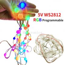 50pcs/lot DC5V WS2812 LED Ball Light String Programmable RGB 15mm Module Waterproof for Outdoor Billboard Payground Decor