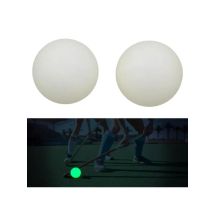 2Pcs Street Hockey Balls Ice Hockey Glow in Dark Ice Hockey Balls Sports Balls Glowing Ice Hockey for Field Hockey Game 69HD