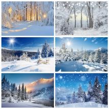 Winter Kiefernwald Berg Schnee natürliche szenische Foto fotografische Hintergründe Weihnachts fotografie Hintergründe für Fotostudio