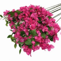 20 Stück künstliche Kletter-Bougainvillea-Blumenrebe, 80 cm lang, Bougainvillea Spectabilis-Blütenbaumzweig aus Seide