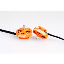 RCINPOWER GTS V3 1002 14000 19000KV 22000KV 1-2S Bürstenlosen Motor für 75mm Zahnstocher Tinywhoop 2 -- 2,5 zoll FPV Gefasste Drohnen