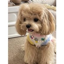 Heart-Pattern Embroidered Dog Sweater Teddy Sweet Clothes Bichon Winter Knit Pullover Yorkshire Warm Sleeveless Pullover