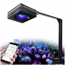 PopBloom RL90 WiFi Luce per acquario, Lampada per acquario a spettro completo per coralli di barriera corallina SPS/LPS Serbatoio marino