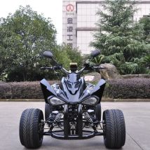 EPA ATV 12 V chinesisches ATV Quad 125 cc 200 cc Vierrad-Quad-Bike CE-Zertifizierung 250 cc 4 Wheeler Quad ATV
