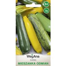 Zucchini-Mischungssorten 3G VegAna-Gemüsesamen