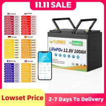 FLLYROWER 12V 100Ah LiFePO4 Batteria Al Litio Con Bluetooth 100A BMS Cicli Profondi Per RV Solar Trolling Motore campeggio Solare