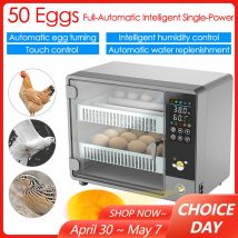 50-Eier-Inkubator, vollständig automatisch drehender Eierinkubator, Touch-Temperaturregelung, Geflügel-Inkubator zum Schlüpfen von Hühnchen, Enten, Wachteleiern