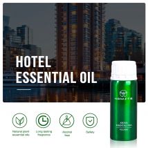 Diffusore di fragranze per camera d'albergo da 100 ml per dispositivo profumato per deodorante per ambienti domestici purificatore d'aria umidificatore riavvolgimento di oli essenziali per auto