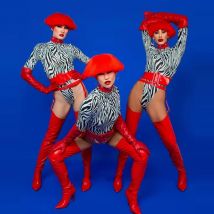 Sexy Cosplay Pole Dance Clothing Bar Nightclub Dj Ds Gogo Dancer Costume Women Zebra Striped Bodysuit Wigs Stage Outfit XS9302