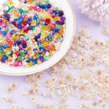 200pcs Real Dried Flowers For Epoxy Resin DIY Art Craft Candle Jewellery Making Glass Cover Ball Filler Dry Flowers Accessories