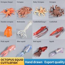 Pädagogische Marine Molluscs ModelToys – Simulation Tintenfisch Oktopus Wachstumszyklus Actionfigur für Kinder Sealife Animal Collection